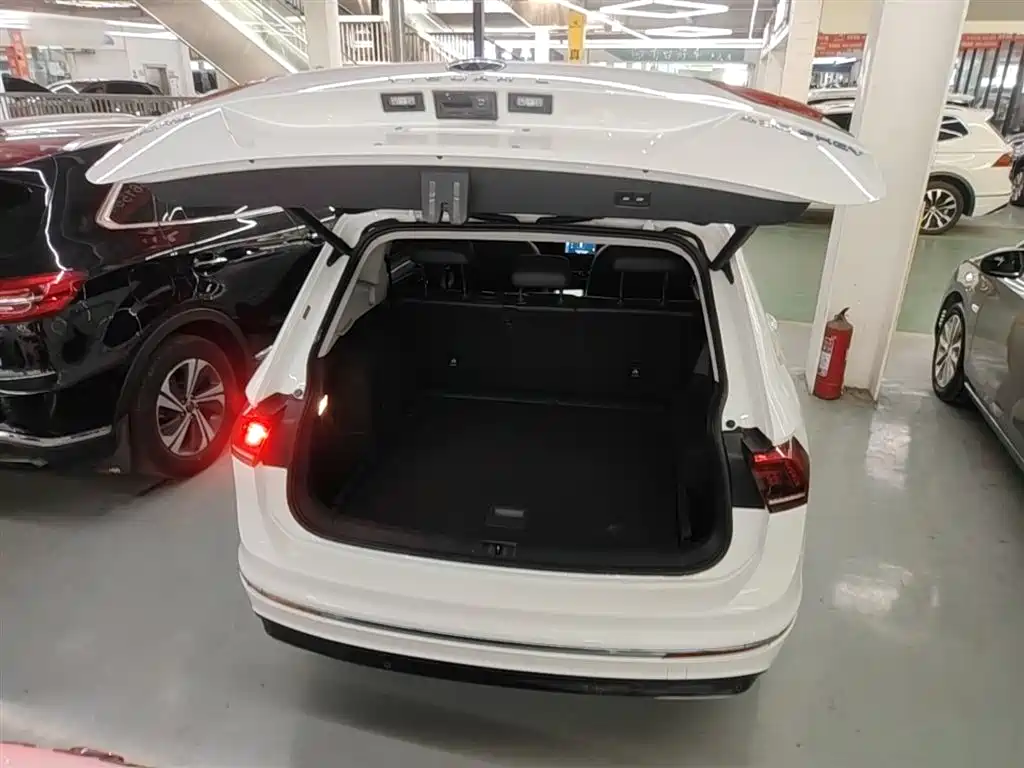 VOLKSWAGEN TIGUAN L NEW ENERGY