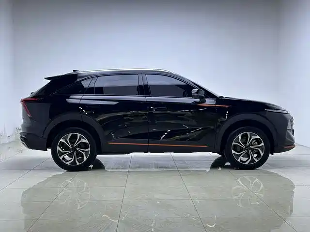 HAVAL DIVINE BEAST