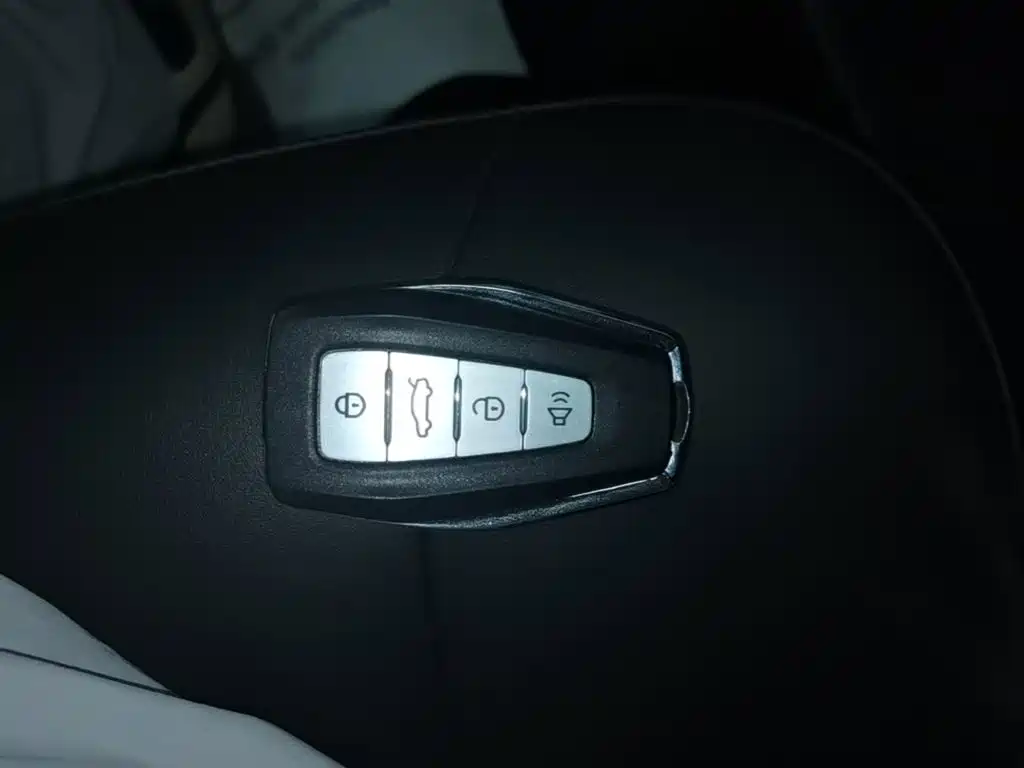 Geely Geometry E Firefly 2023 2022 401KM Delicate Tiger 4-seater