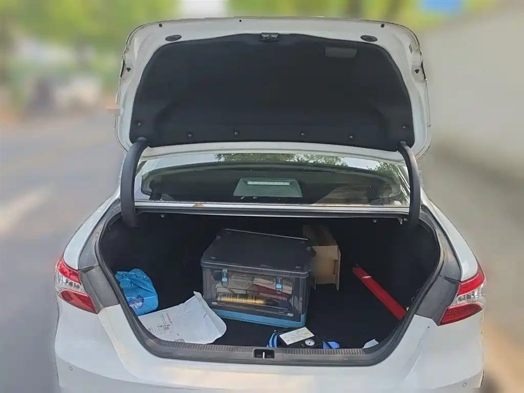 Toyota Camry 2019 2.5G Luxury Edition China VI фото 10