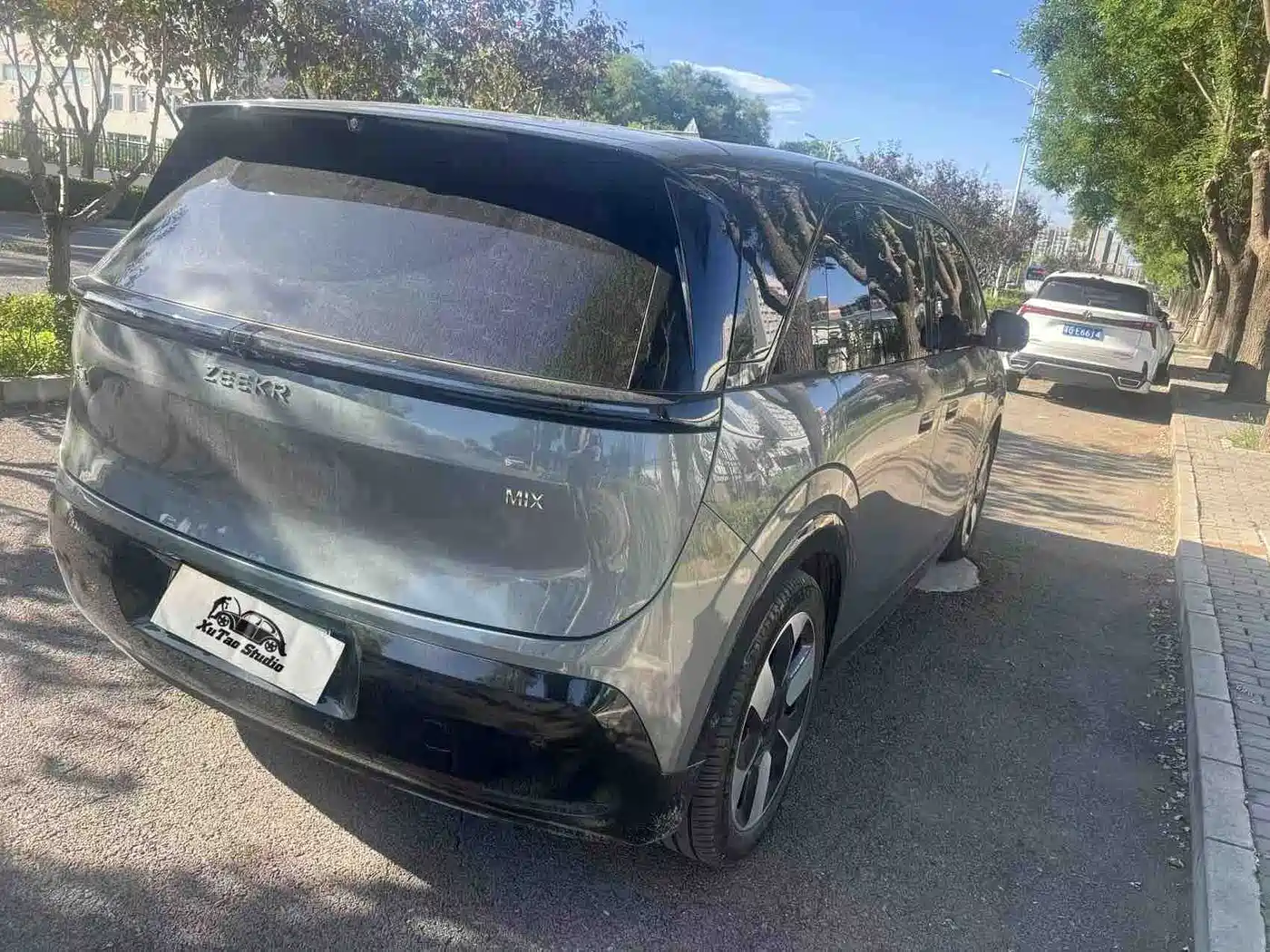 ZEEKR MIX 2025 2025 Smart Driving Edition