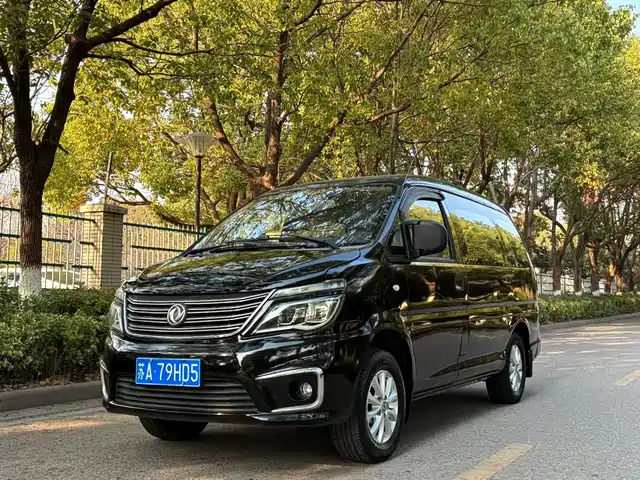DONGFENG LINGZHI