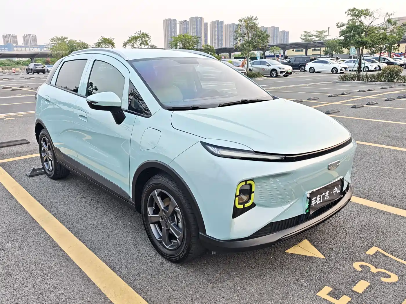Geely Geometry E Firefly 2022 2022 320KM Well-behaved Tiger 4-seater