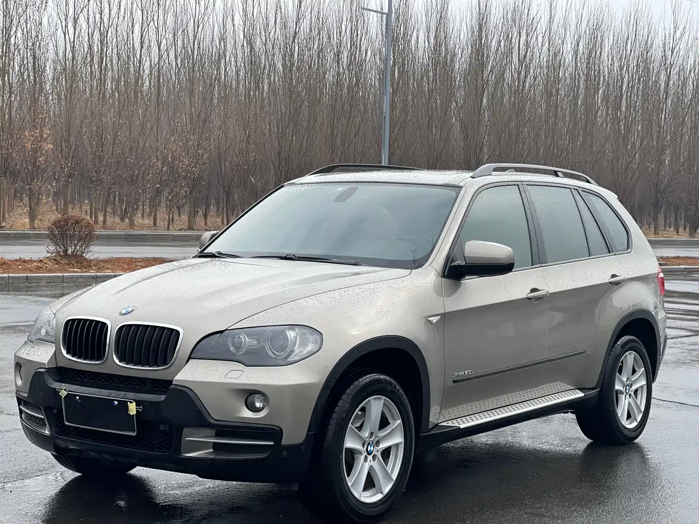 BMW X5 (Import) 2009 xDrive30i Luxury
