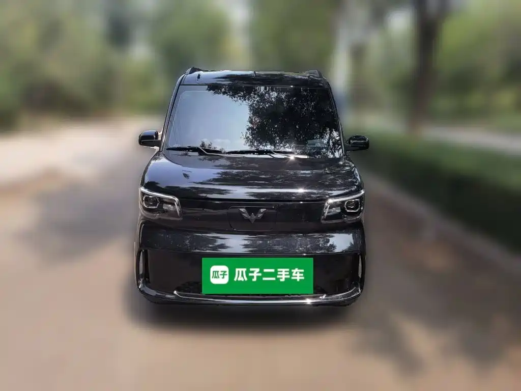 Wuling Motors Wuling Zhiguang NEV 2025 2025 Model 305km Base Version