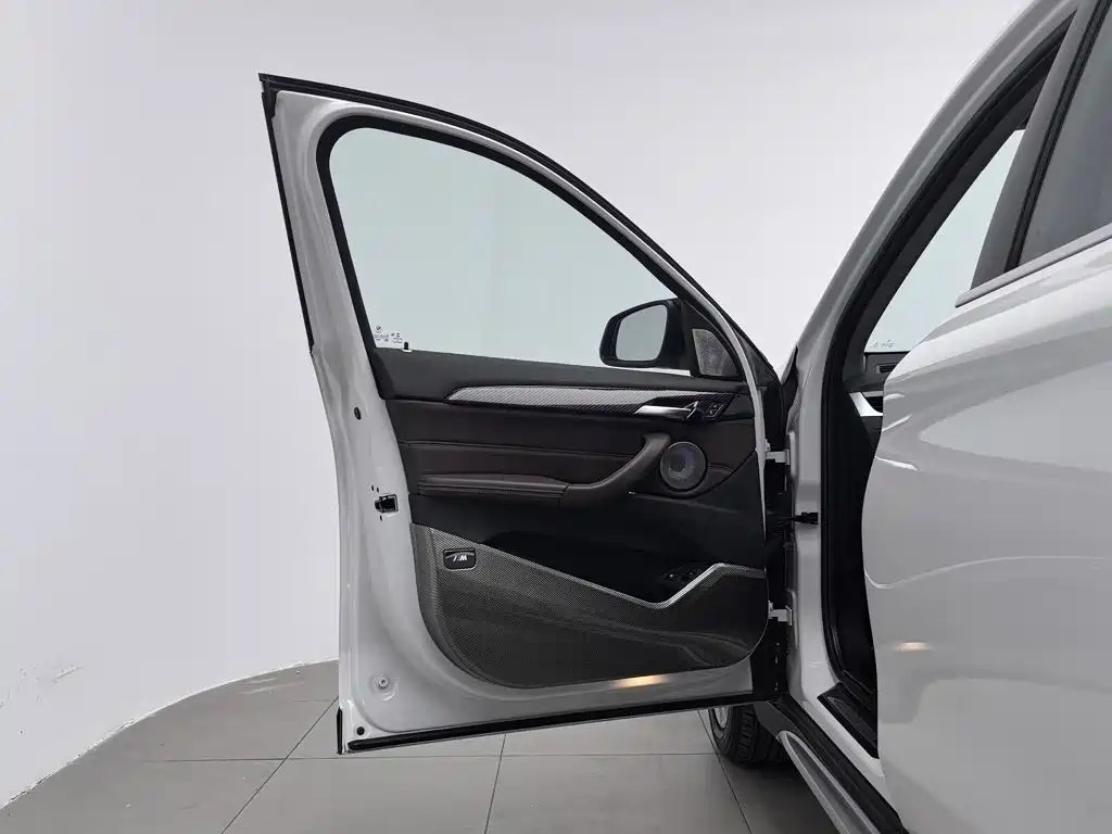 BMW X1 New Energy 2021 2021 xDrive30Le Exclusive