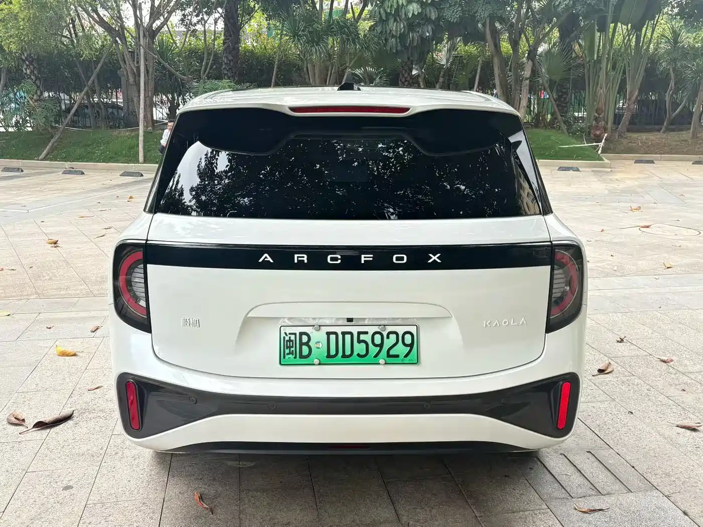 2025 ARCFOX Koala S