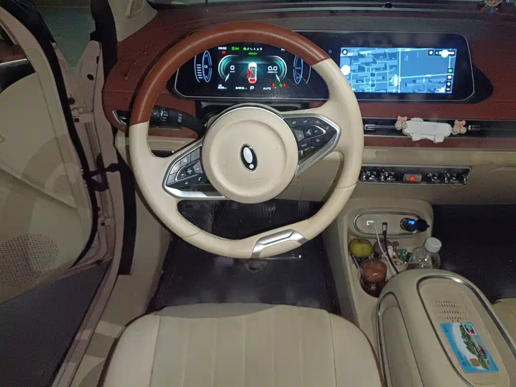 Ora Good Cat 2023 2023 401km Standard Range Luxury LFP