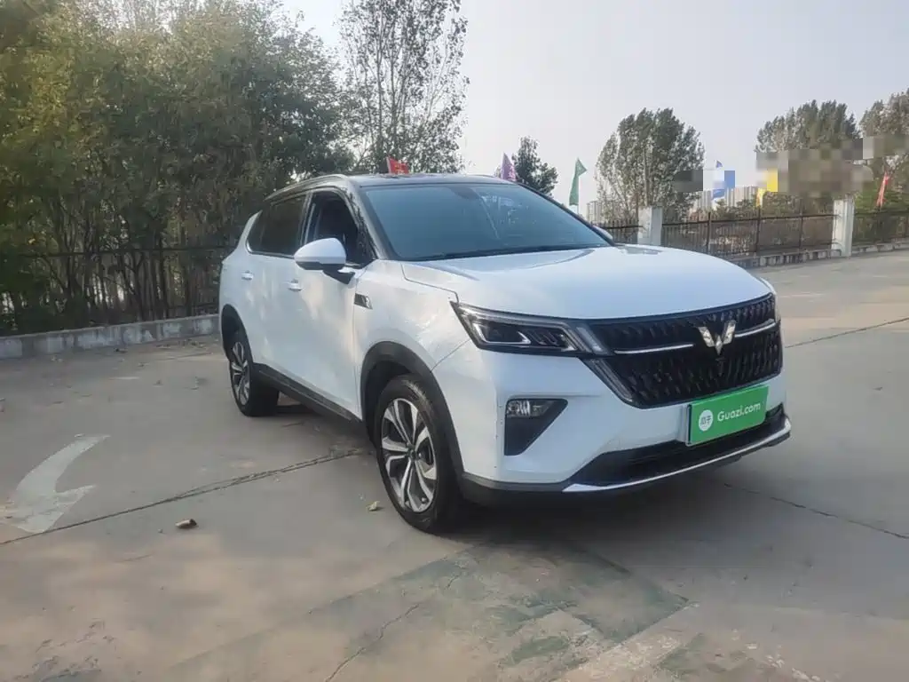 Wuling Motors Wuling Xingchen 2022 2022 2.0L DHT Electric Speed Edition