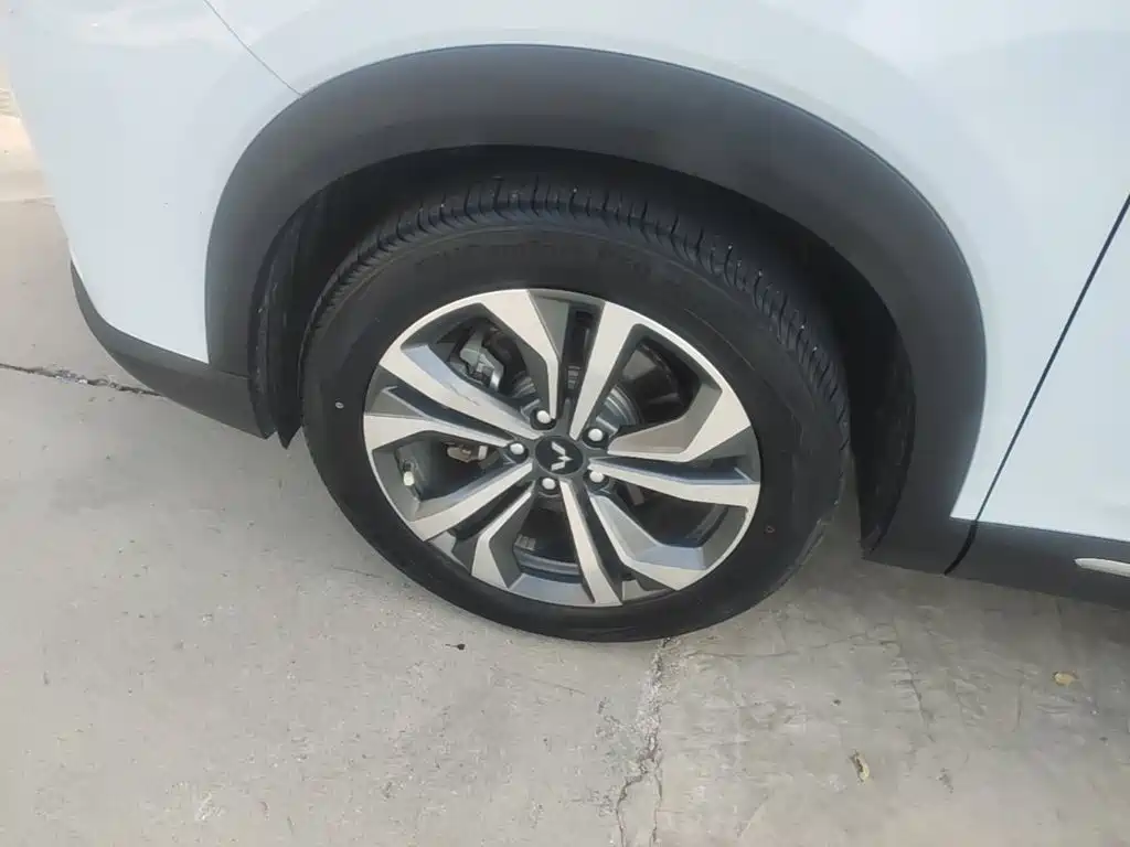 Wuling Motors Wuling Xingchen 2022 2022 2.0L DHT Electric Speed Edition