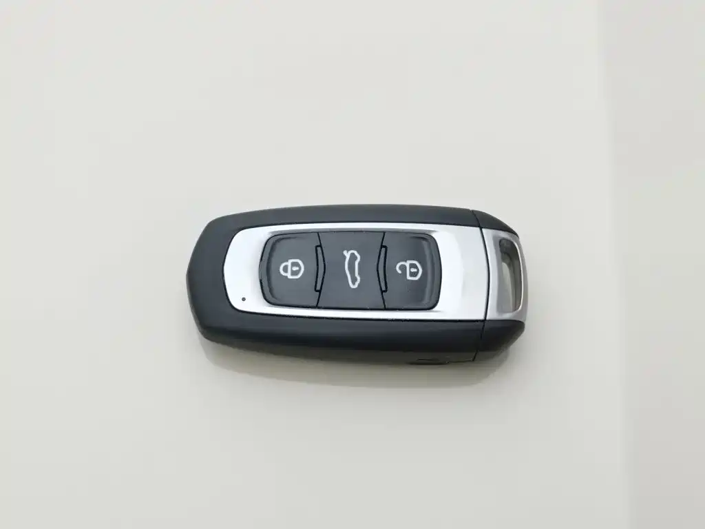 Geely Galaxy Panda 2026 2025 Panda mini 210km Vitality Bear