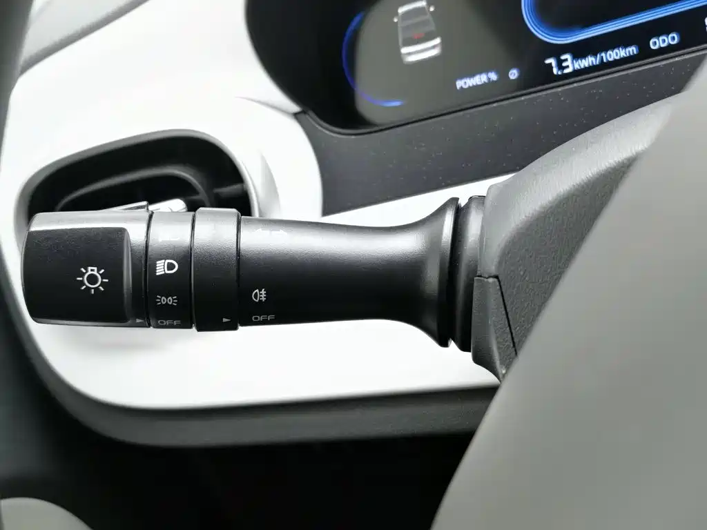 Geely Galaxy Panda 2026 2025 Panda mini 210km Vitality Bear