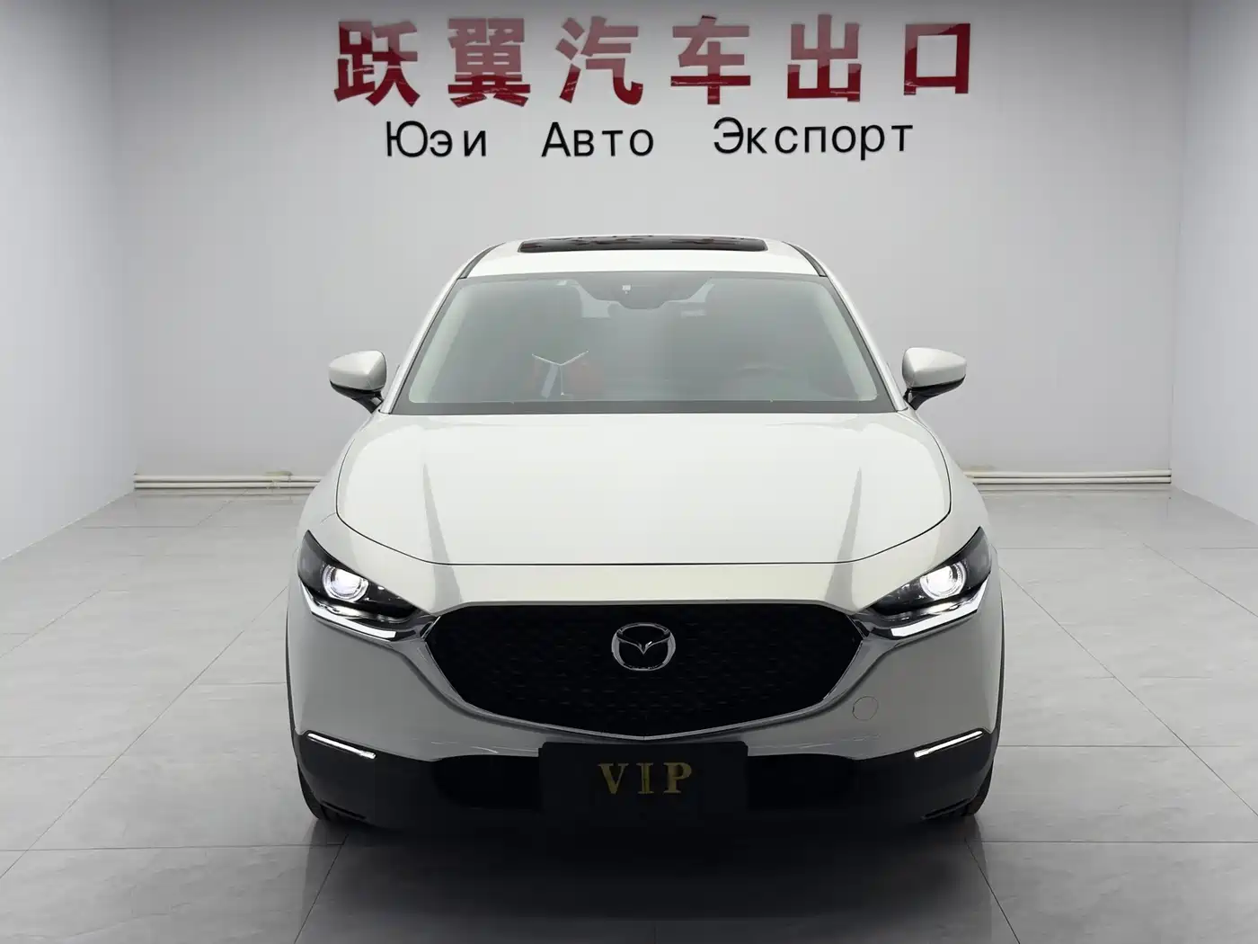 Mazda CX-30 2021 2021 2.0L Auto Quality Delight Type