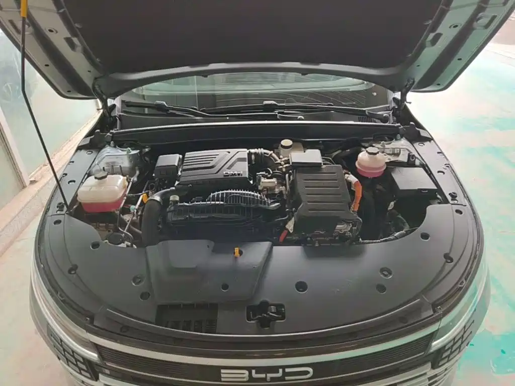 BYD Destroyer 05 2024 2024 Glory Edition DM-i 55KM Luxury