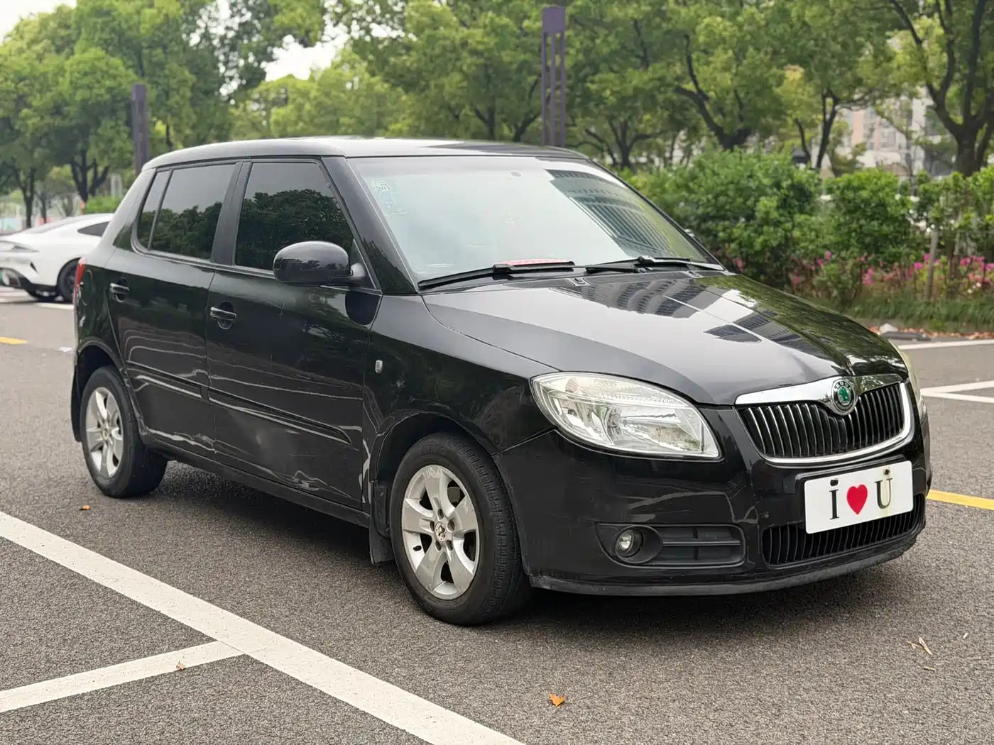 Škoda Fabia 2008 1.4L Automatic Crystal Comfort фото 3