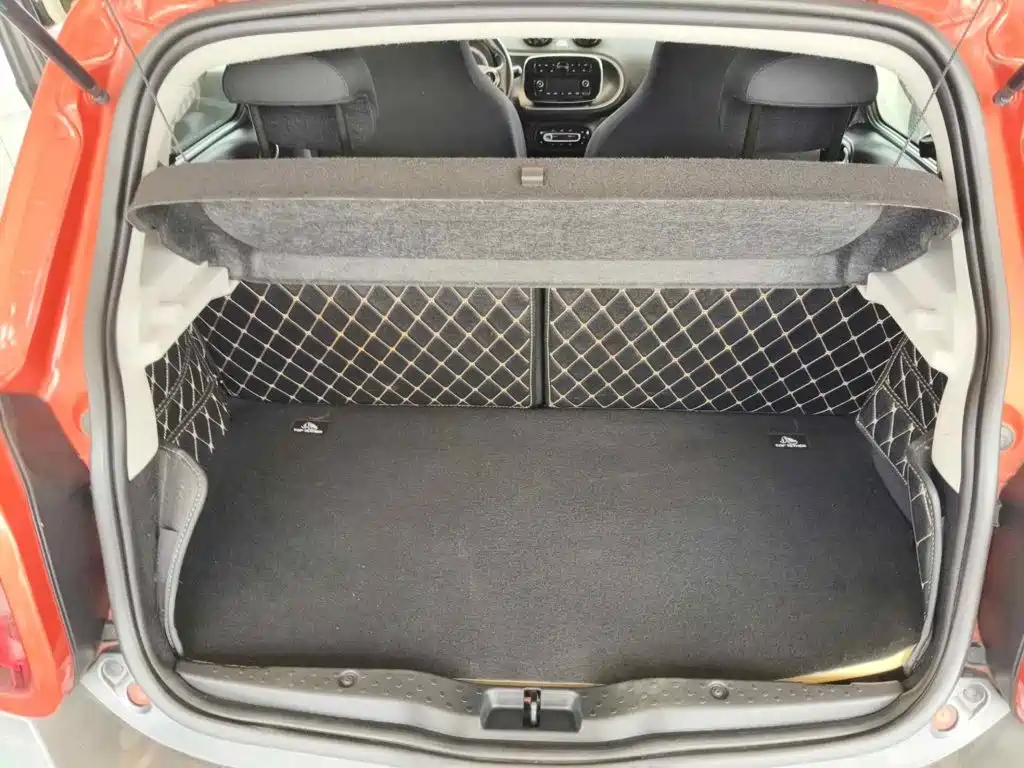 صورة 5 - smart forfour