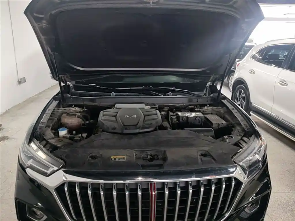 Hongqi HS5 2019 2.0T Smart Connect Enjoy 4WD Edition фото 20
