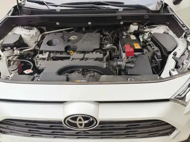 Toyota RAV4 Rongfang 2021 2.0L CVT 4WD Premium — фото 3
