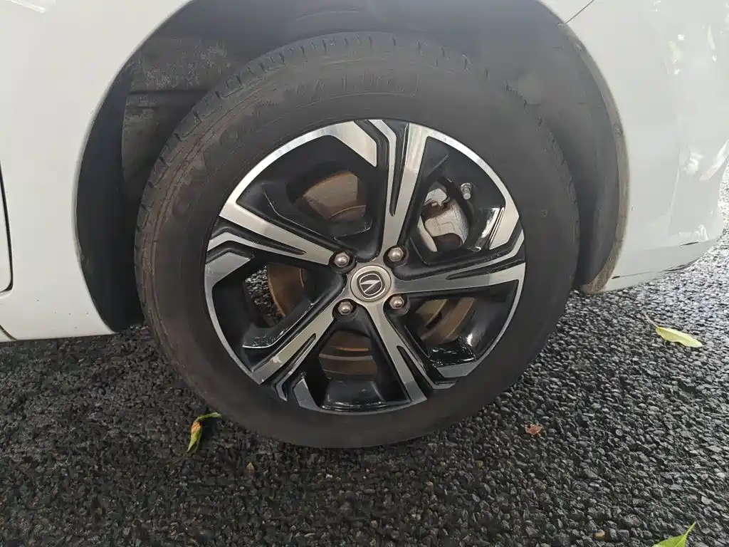 Changan Benben E-Star 2021 2020 Model Happy Edition (LFP 31.18kWh)