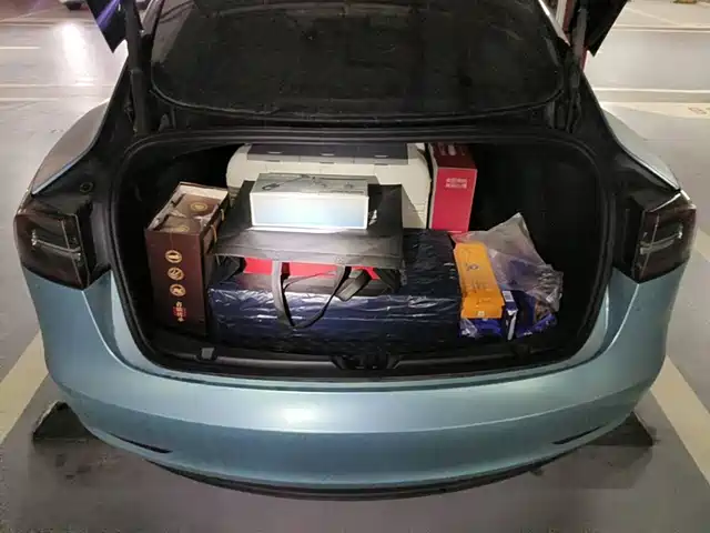 Tesla Model 3 2021 Standard Range Rear-Wheel Drive Upgrade 3D6 — фото 5
