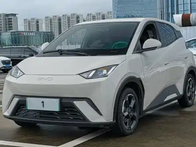 BYD Seagull