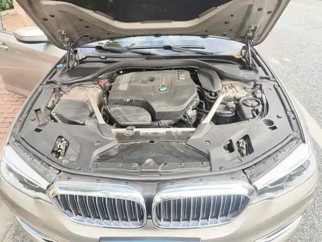 BMW 5 Series 2020 530Li Premium Luxury Package — фото 3