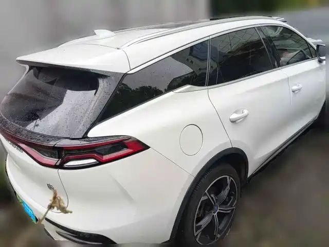 BYD Tang New Energy 2021 DM-i 112KM Honor — фото 2