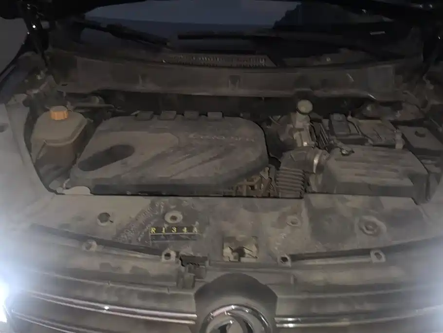 DONGFENG SCENERY 580