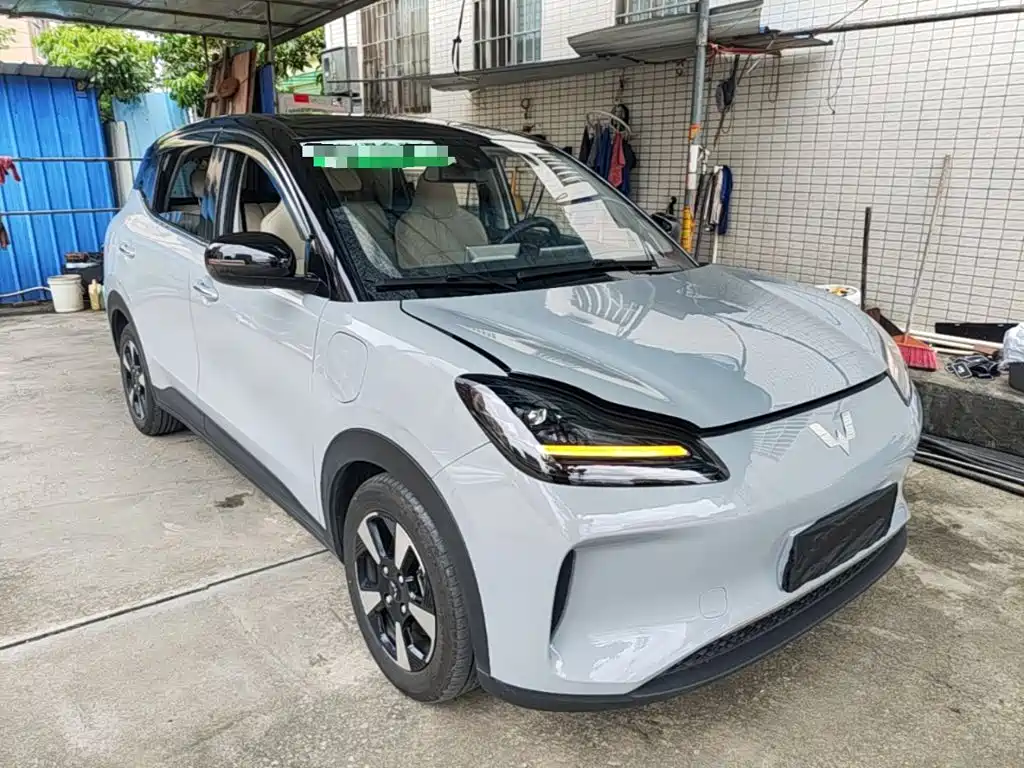 Wuling Motors Wuling Binguo PLUS 2024 2024 401km Range 5-seater