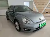 صورة 4 - Volkswagen Beetle