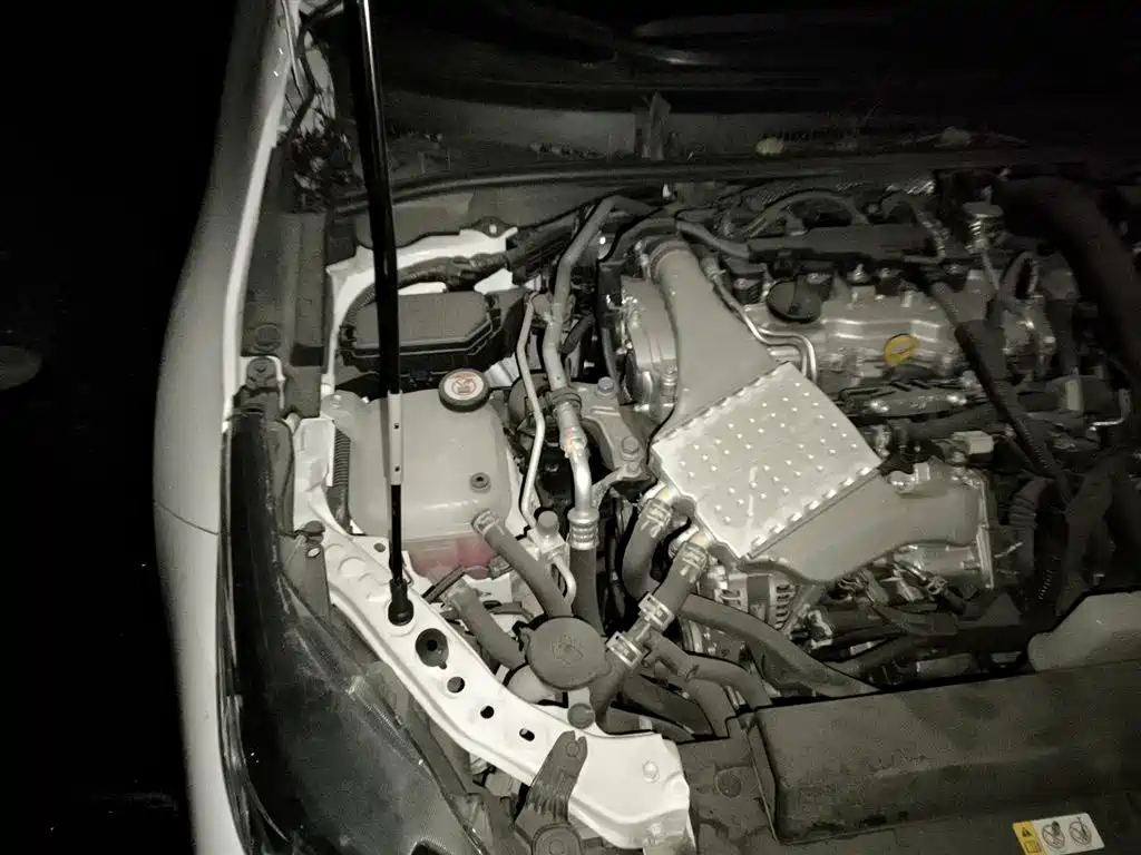Toyota Corolla 2021 1.2T S-CVT Pioneer PLUS Edition фото 20