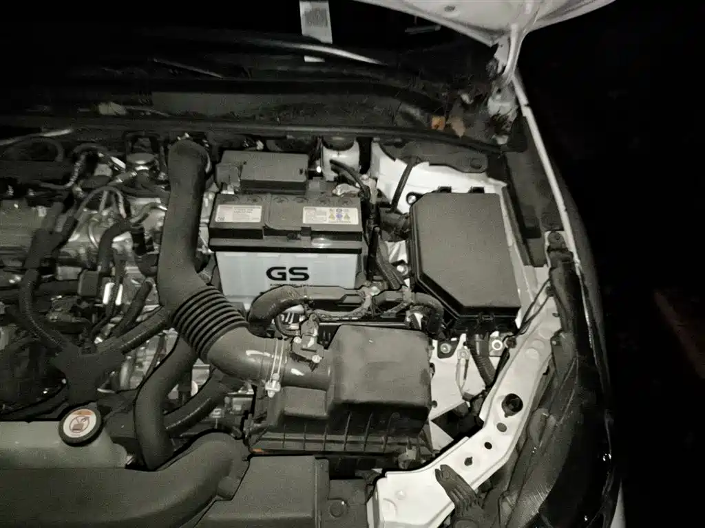 Toyota Corolla 2021 1.2T S-CVT Pioneer PLUS Edition фото 21