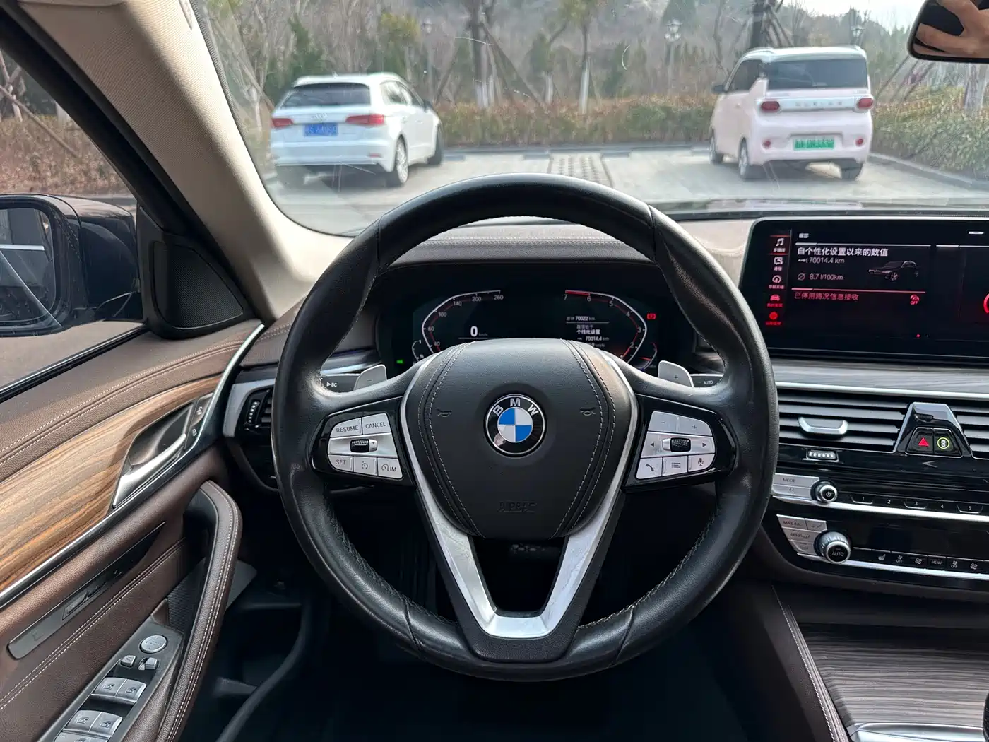 BMW 5 Series 2021 530Li Leading Luxury Package фото 12