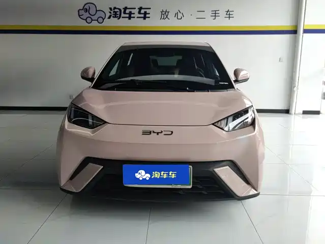 BYD Seagull 2024 Glory Edition 305km Vitality Edition — фото 2