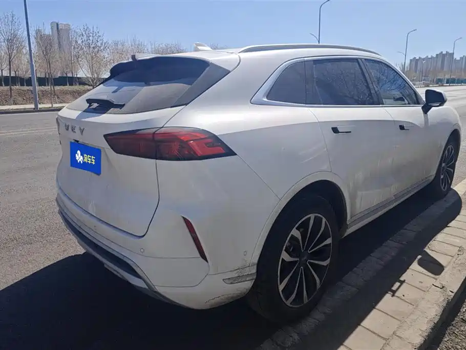 WEI PAI WEI BRAND MOCHA