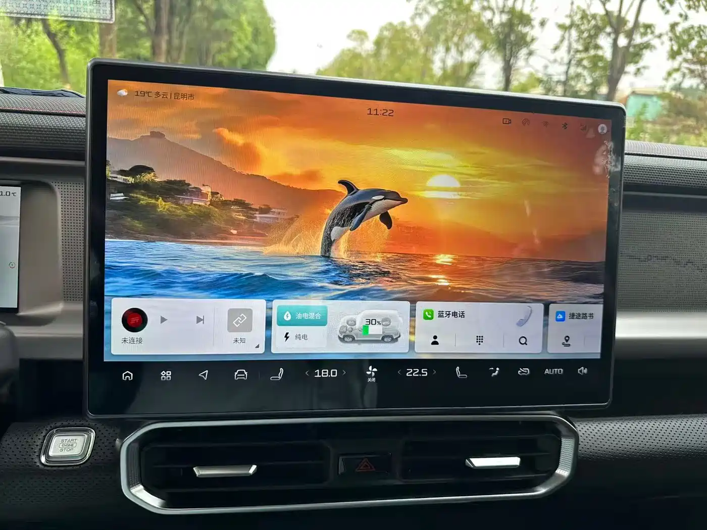 Jetour Shanhai T2 2025 2024 C-DM 129KM Forest Edition