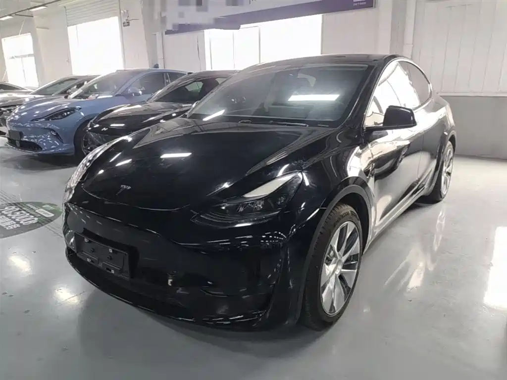Tesla Model Y 2022 Rear-Wheel Drive Version