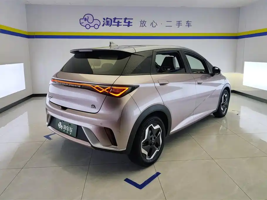 BYD Dolphin 2022 2021 Model 405km Fashion Edition