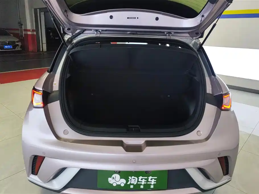 Фото 4 - BYD Dolphin