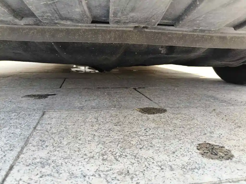 Фото 9 - Ford Focus