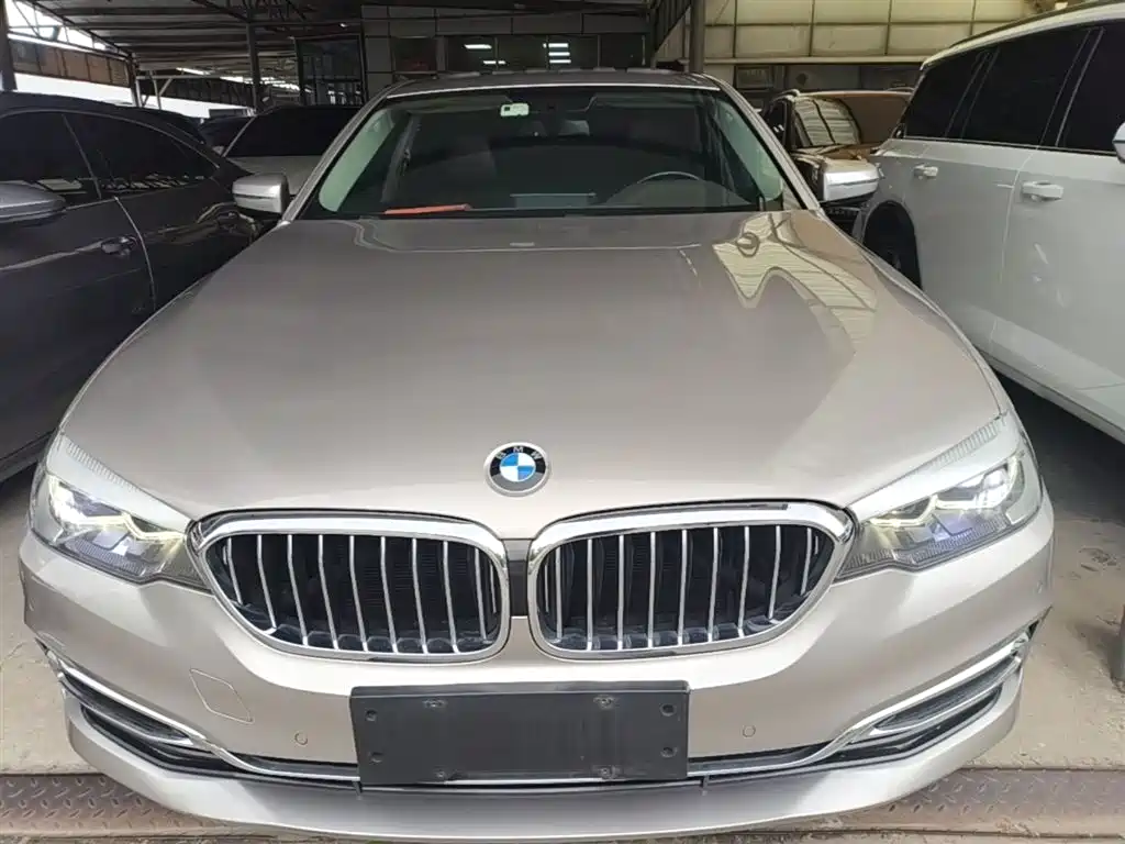 BMW 5 Series 2020 525Li Luxury Package фото 3