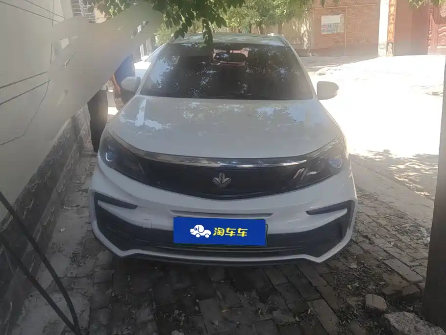 Ruilan Auto Maple 30X 2020 2020 Style Edition