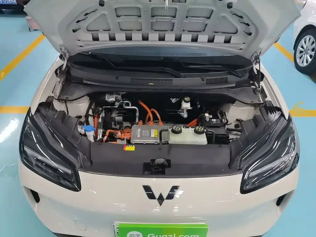Wuling Motors Wuling Binguo PLUS 2025 2024 510km Range 5-seater