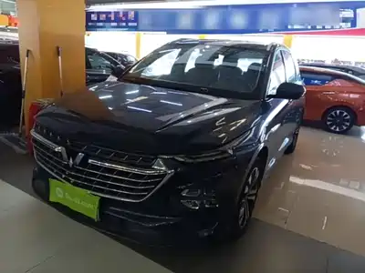 Wuling Victory