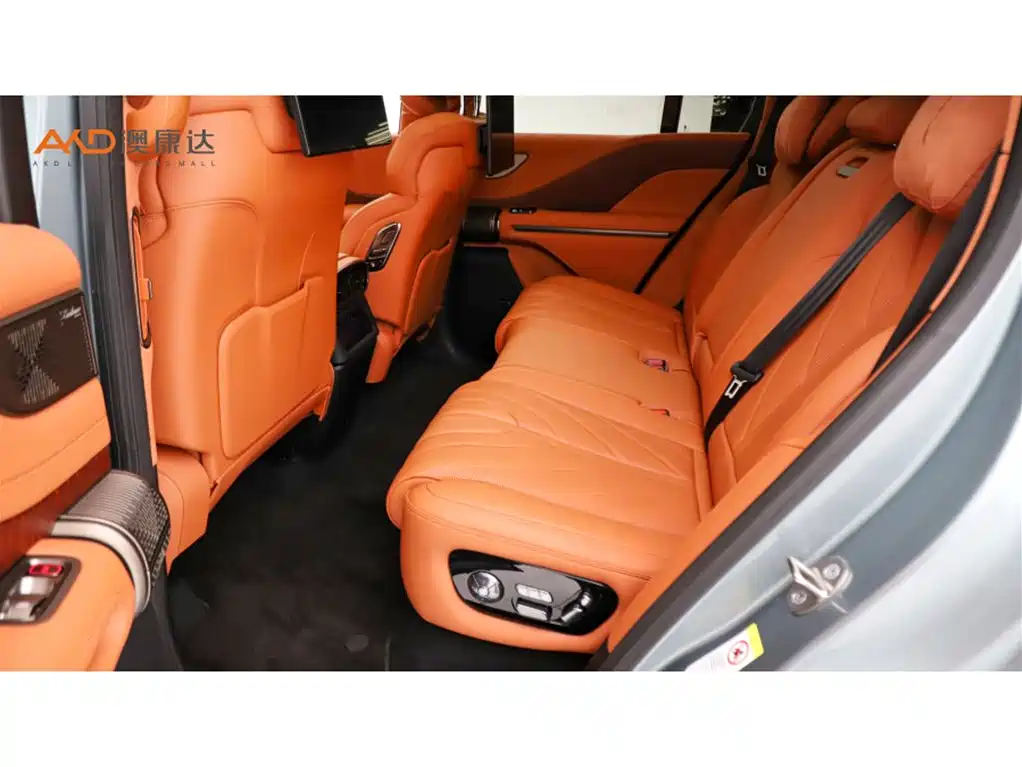 Yangwang U8 2024 2023 Luxury Edition