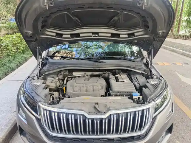 Škoda Kodiaq GT 2019 TSI330 2WD Luxury Edition China VI — фото 3