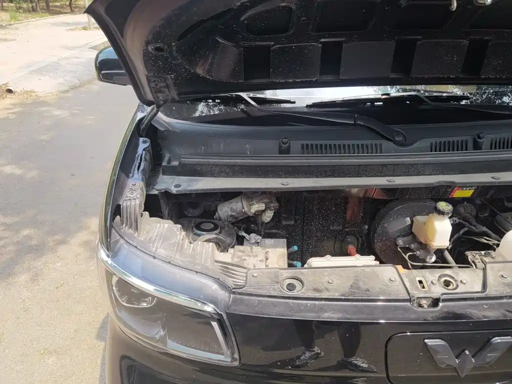 Wuling Motors Wuling Zhiguang NEV 2025 2025 Model 305km Base Version
