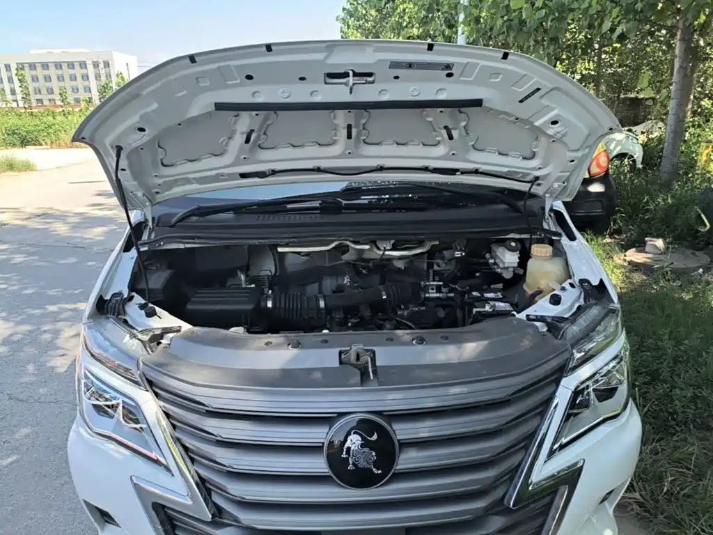Фото 20 - Dongfeng Fengxing Lingzhi