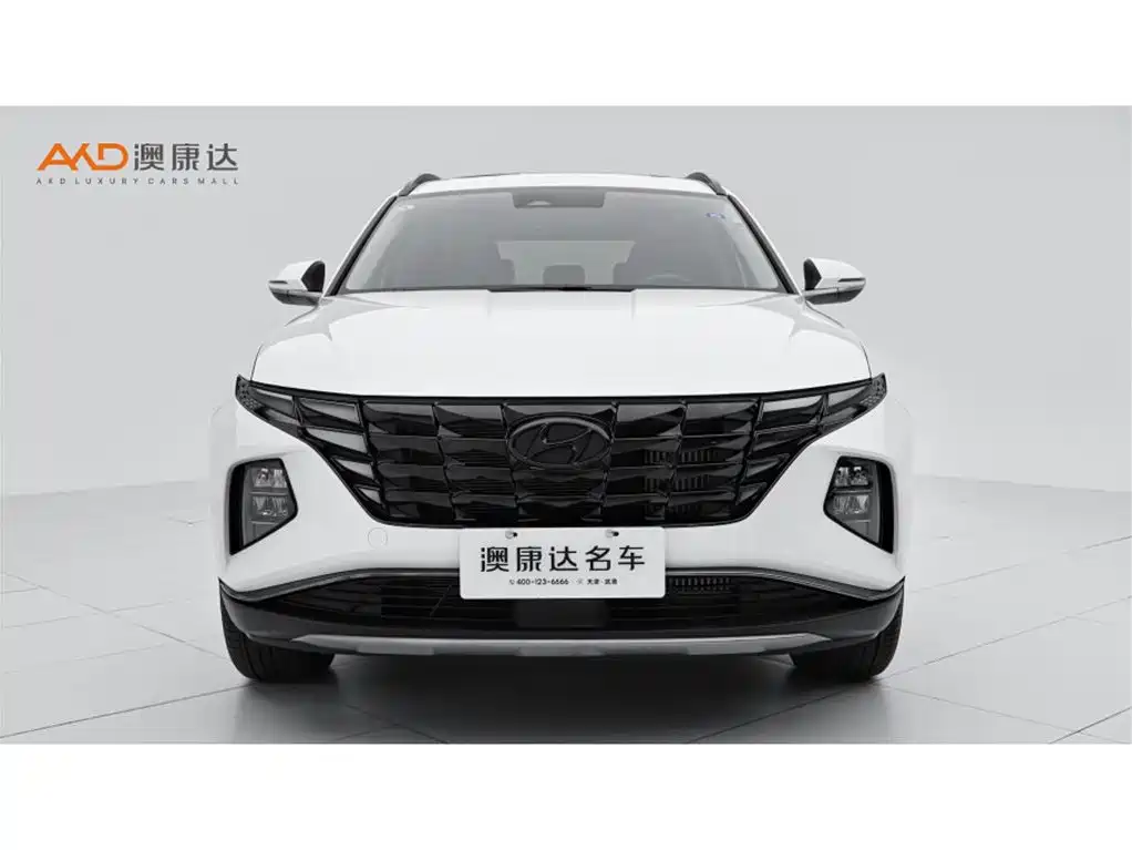 Hyundai Tucson 2023 2023 Tucson L 1.5T DCT 4WD LUX Premium Edition