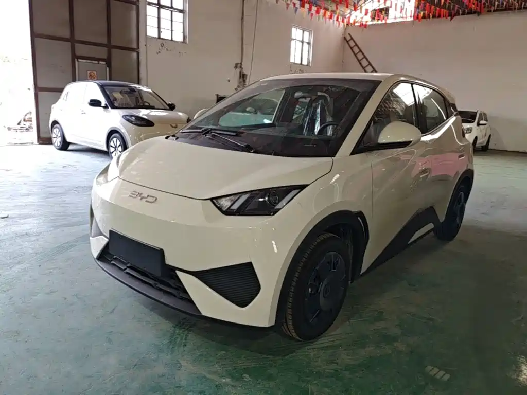 2026 BYD Seagull